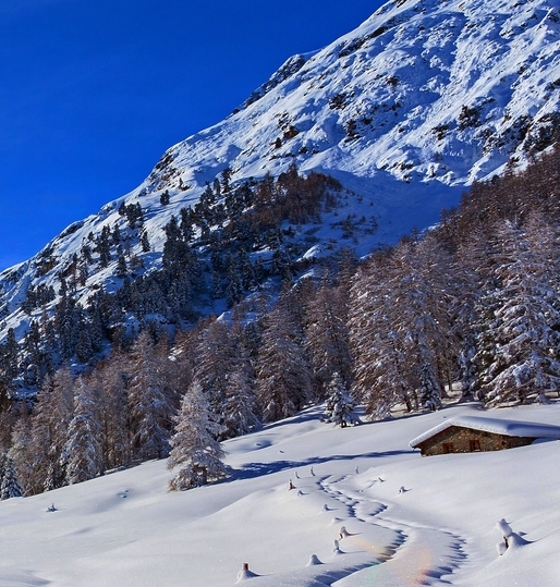 长城汽车哈弗h2价格