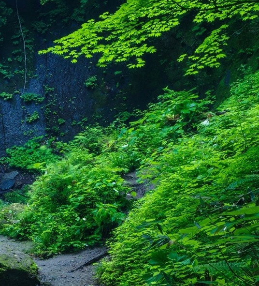 八重山群岛面积
