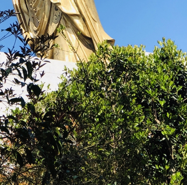 质量口号标语大全