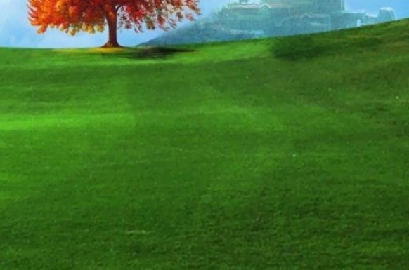 最大的老鼠是什么鼠