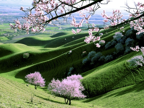 世界的意义必定在世界之外