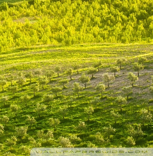 太初科技有限公司