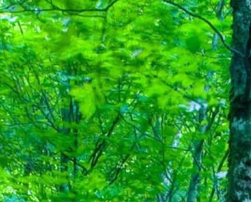 心灵交战杰伦：探讨善与恶的意义
