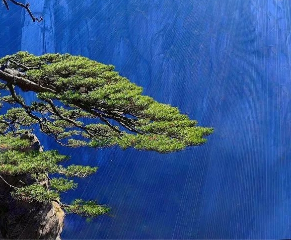 消灾寺与观世音菩萨：哪座庙宇最受求灾难消除者青睐？