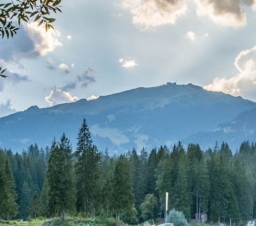 黄金利维坦属性