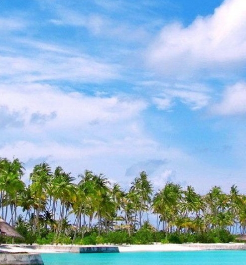 电商主播招聘文案简短