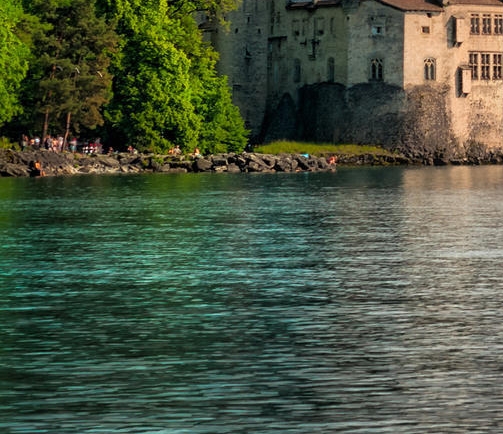 兔年画图片大全可爱