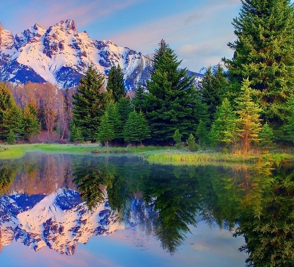 核心素养的提出