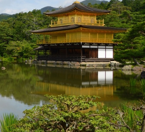 创意花瓶图片集锦：彩虹、矿泉水瓶、绘画三种风格