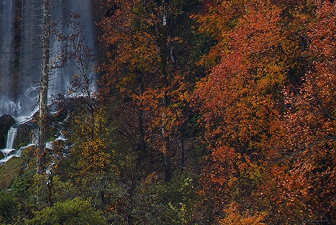 触核心韩剧在线