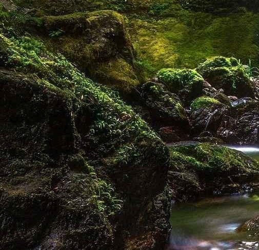 安琪拉心灵旅客：冲击你的内心，骇客你的想象力