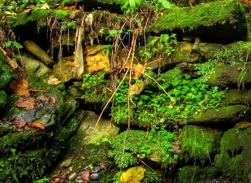 商场活动策划方案怎么做