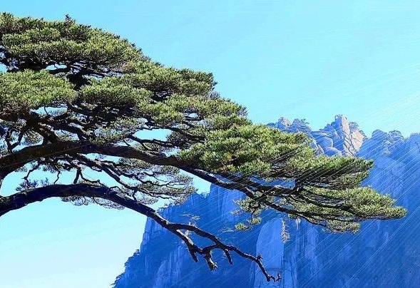 开业布置电商平台
