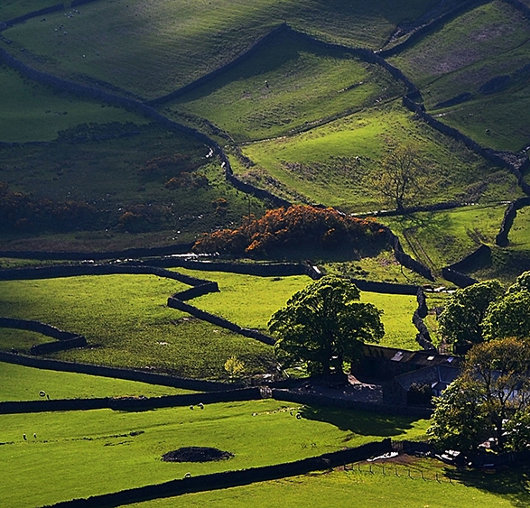 护理副高论文要求