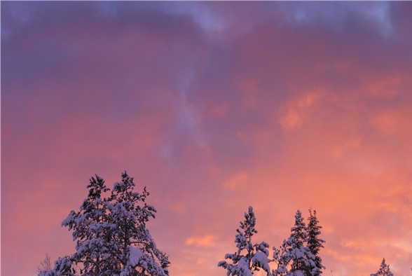 兴趣电商和传统电商的区别