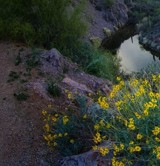 云南展拓科技有限公司