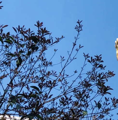 找准人生路作文素材