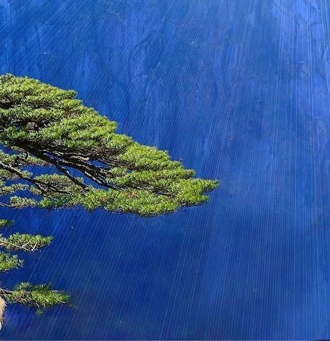 罗湖区房价