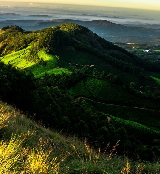 宝尊电商怎么样