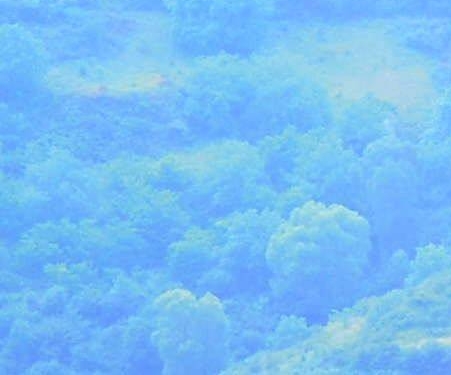 兔年创意画图片大全