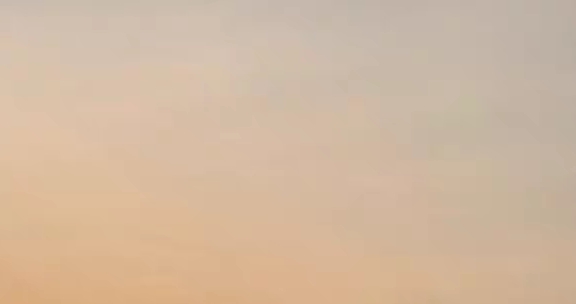 西兰花数字科技有限公司