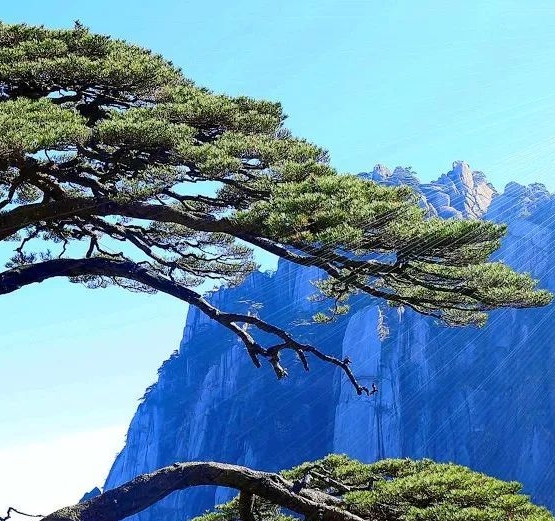 深圳科技创新：深科技时间联手科技潮期刊官网，共同探讨科技前沿