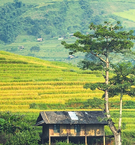 丸子妹无缝衔接壁纸