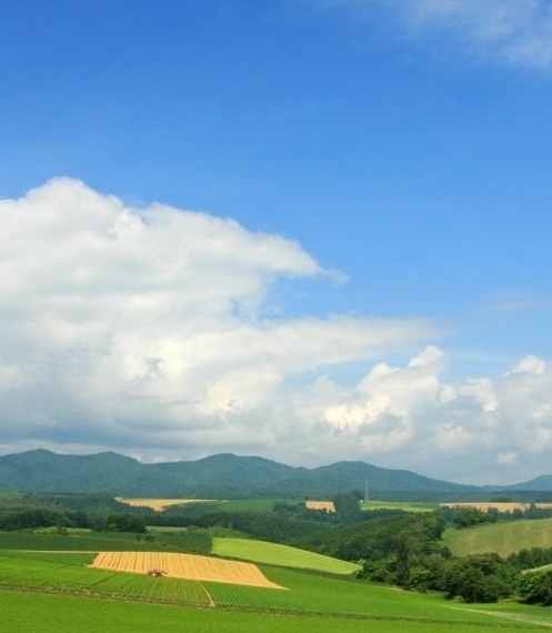 油画风景写生小品图片