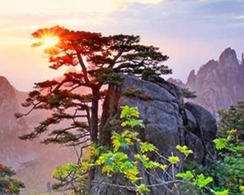 心灵终结23关什么时候出