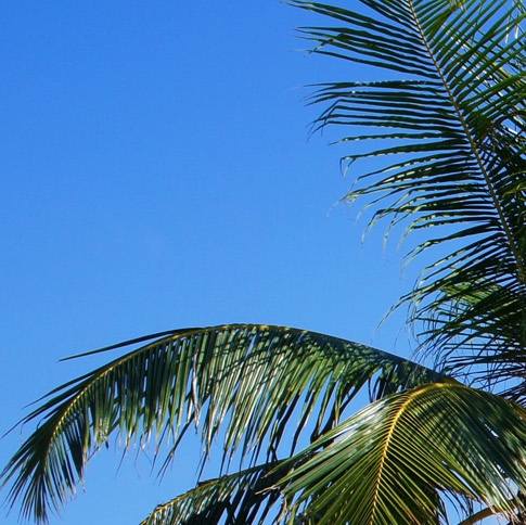 云南普者黑旅游攻略亲子