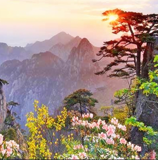 泰和科技口碑大涨，枣庄泰和科技成新宠，泰和科技股票引领行情