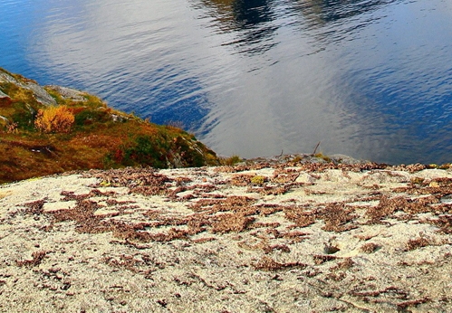 东方之星朱红美