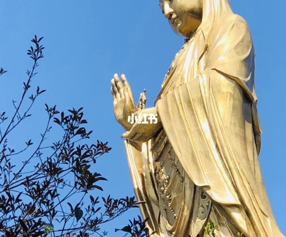 清晰世界1