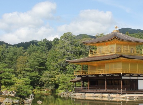 522原则科技
