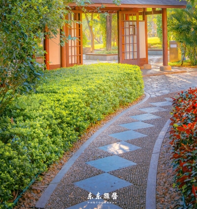2006年世界杯葡萄牙核心