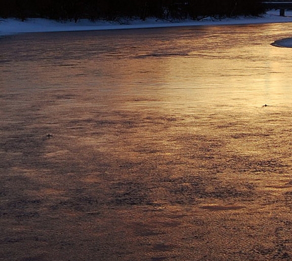 西瓜的联想画创意