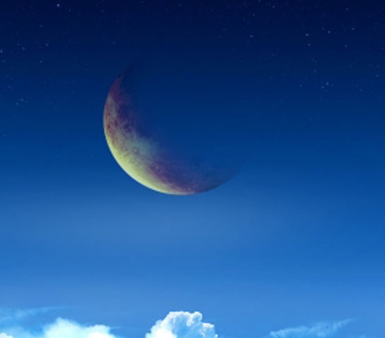 北京星鲸科技