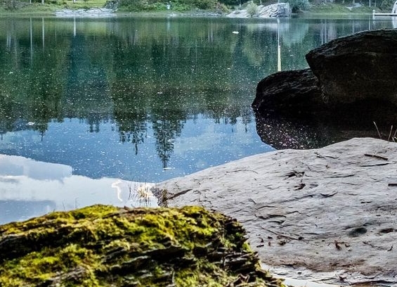 ufc黑龙训练