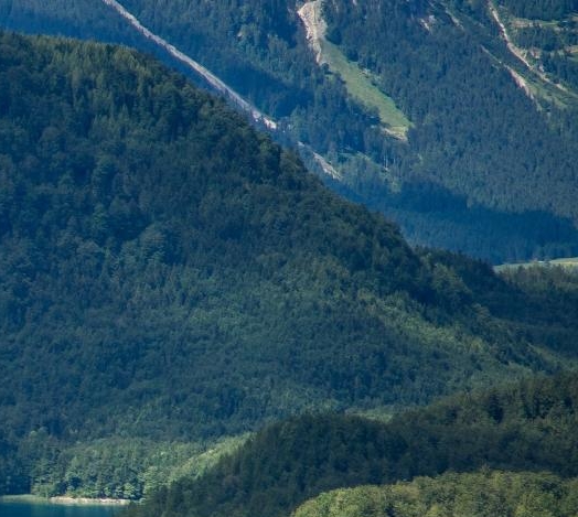山羊核心成品大揭秘：布尔山羊的神奇之旅，探索未知世界的奇幻冒险