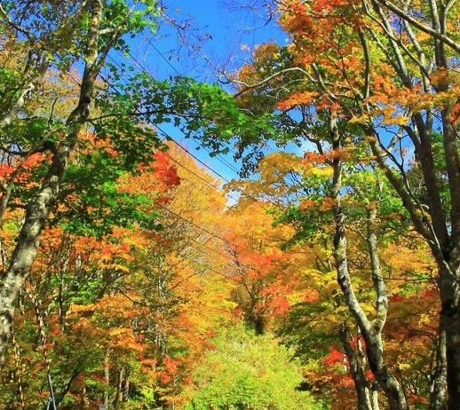 马鞍山30天天气预报