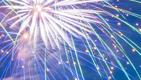 探秘水母世界：从mini到最大的神秘生物