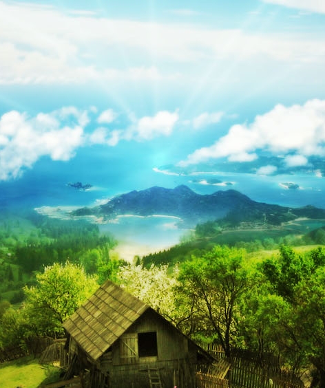丁丁猫茶百道