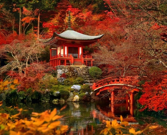 迪卡侬超市在哪里