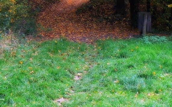 软景e居二手房房价