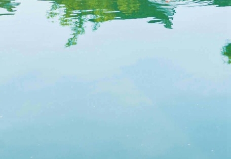 三部职场小说：麦麦、千金、小说，生涯路上的不同风景