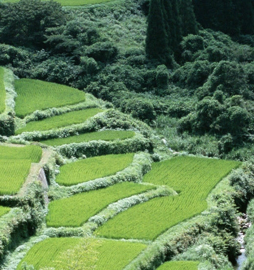 心灵安处是故乡