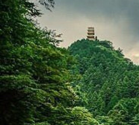 网红打卡点创意方案图片