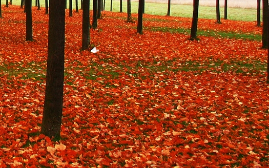 盒子科技是做什么的