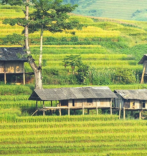 wallpaper创意工坊