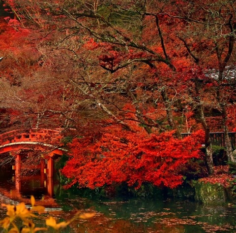简约文艺背景图片